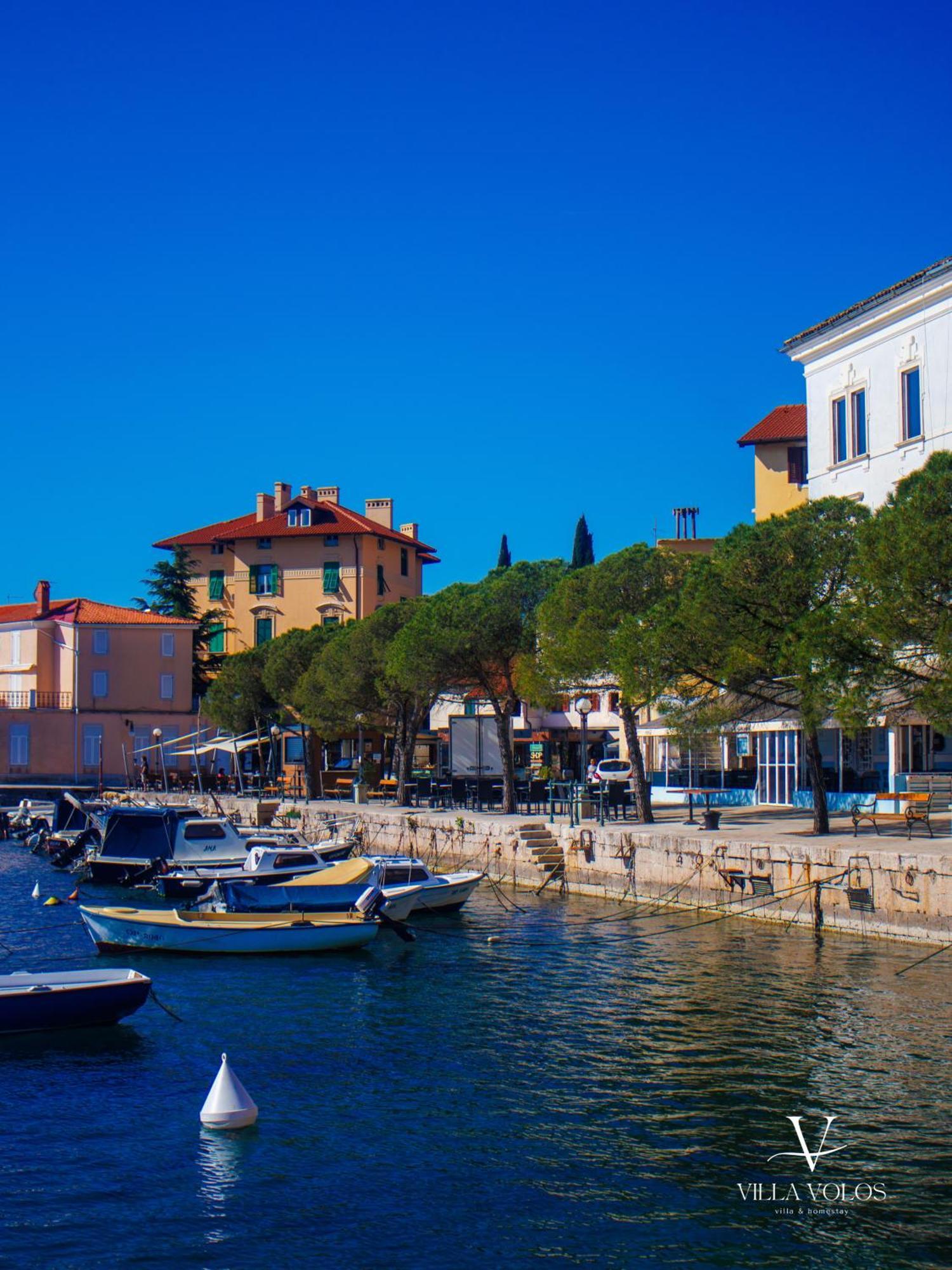 Villa Volos Apartment Karmen With Roof Terrace, Sea View, Free Private Parking Opatija Exterior foto